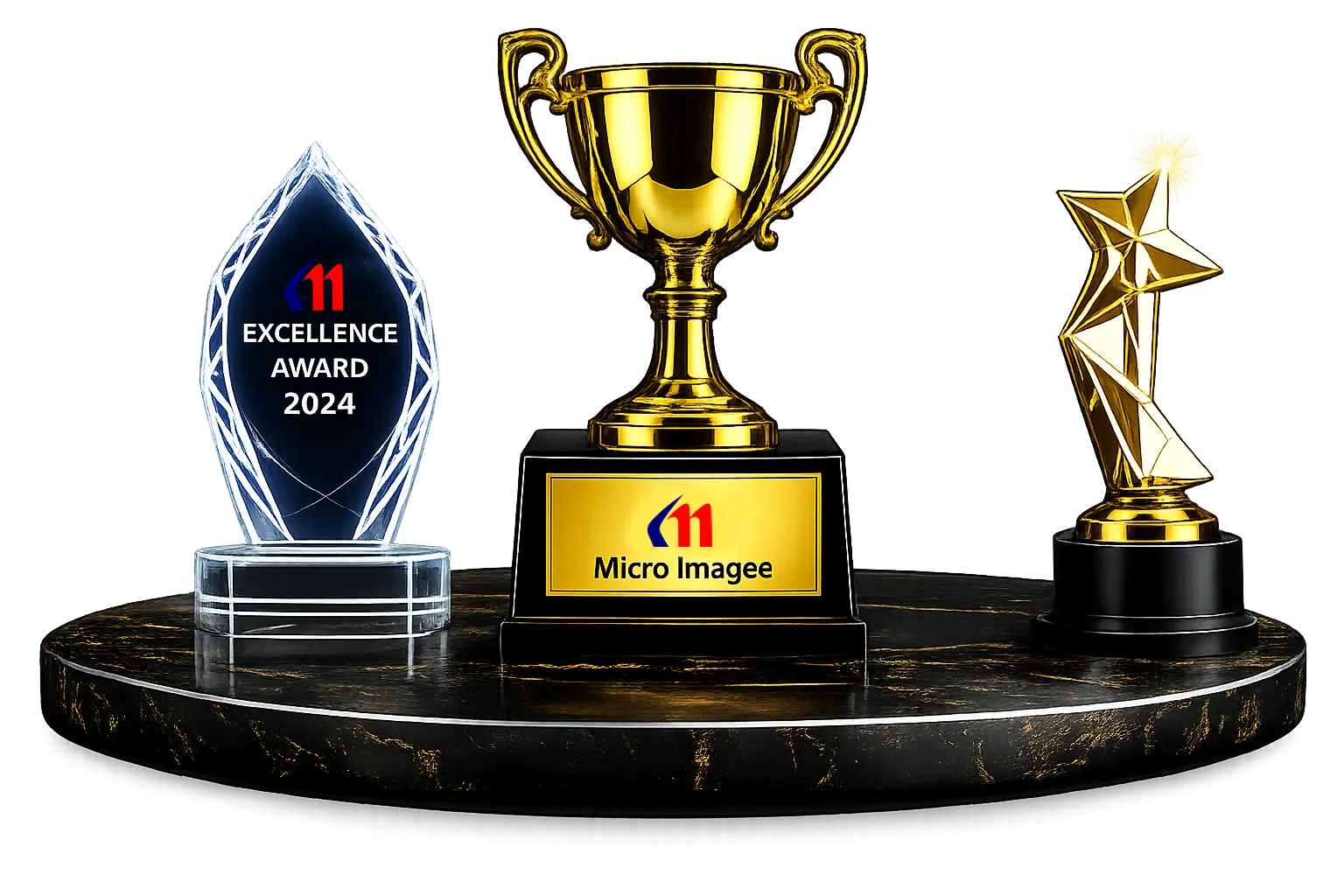 Premium Custom Awards and Trophy Manufacturer