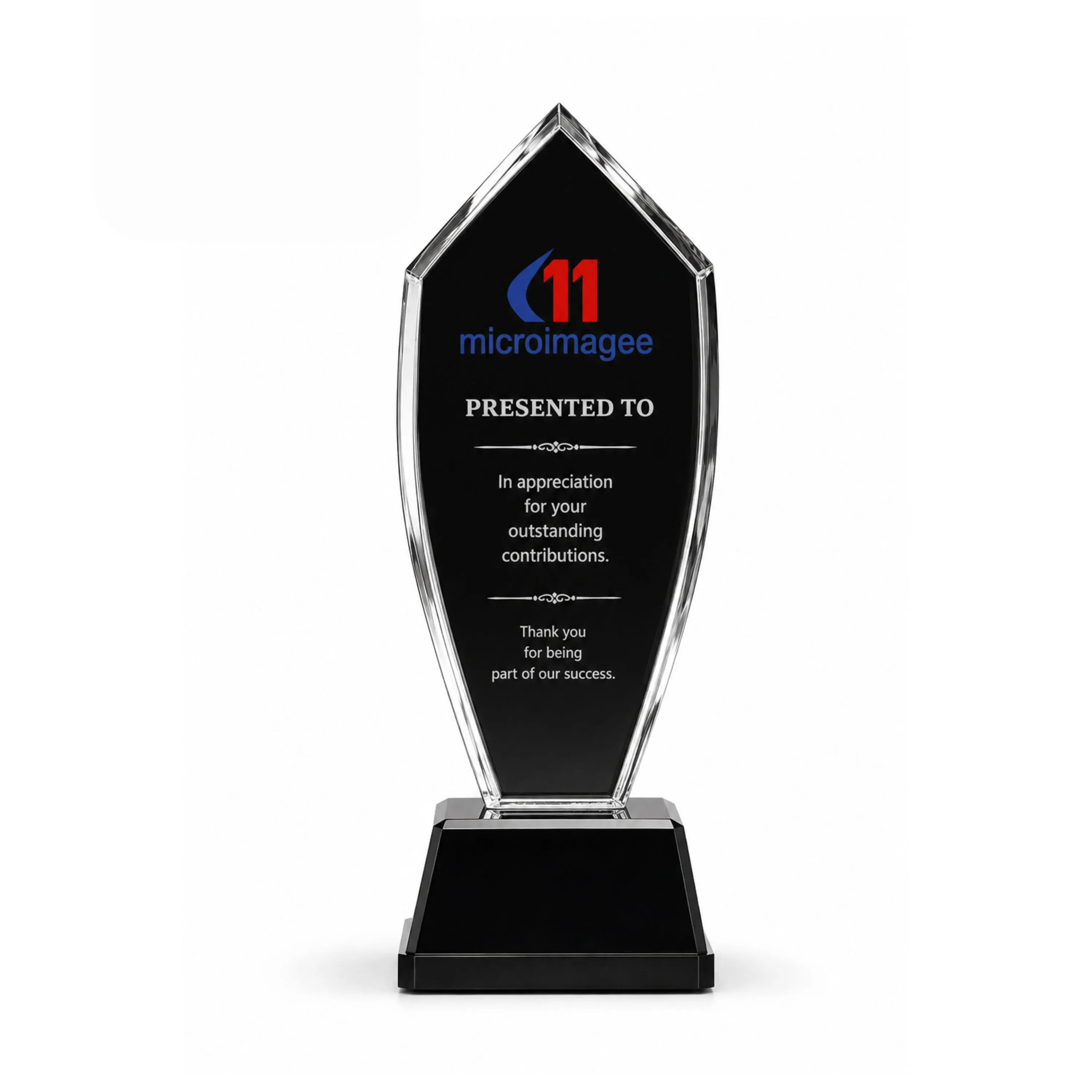 Premium Crystal Award