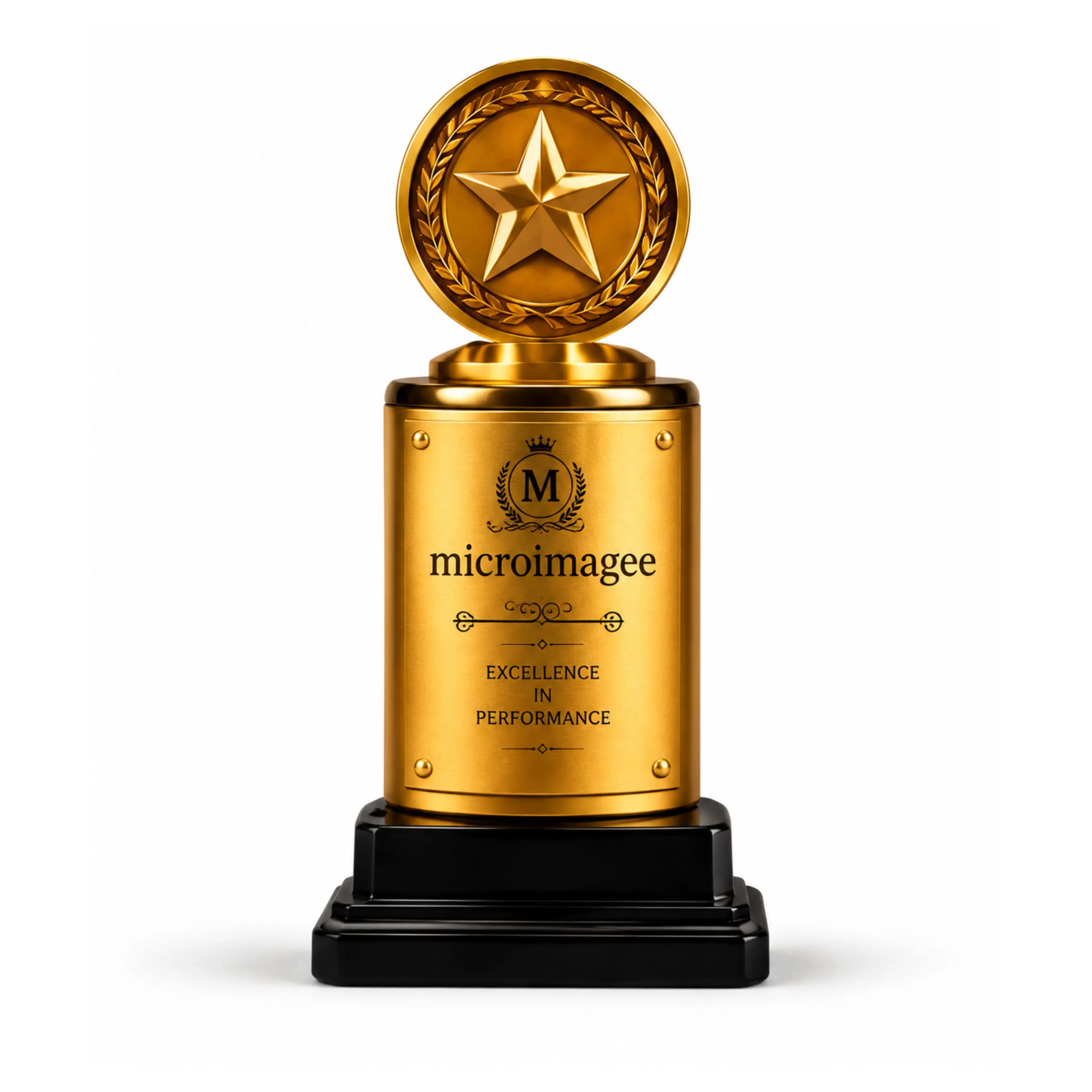 Customized Crystal Acrylic Awards