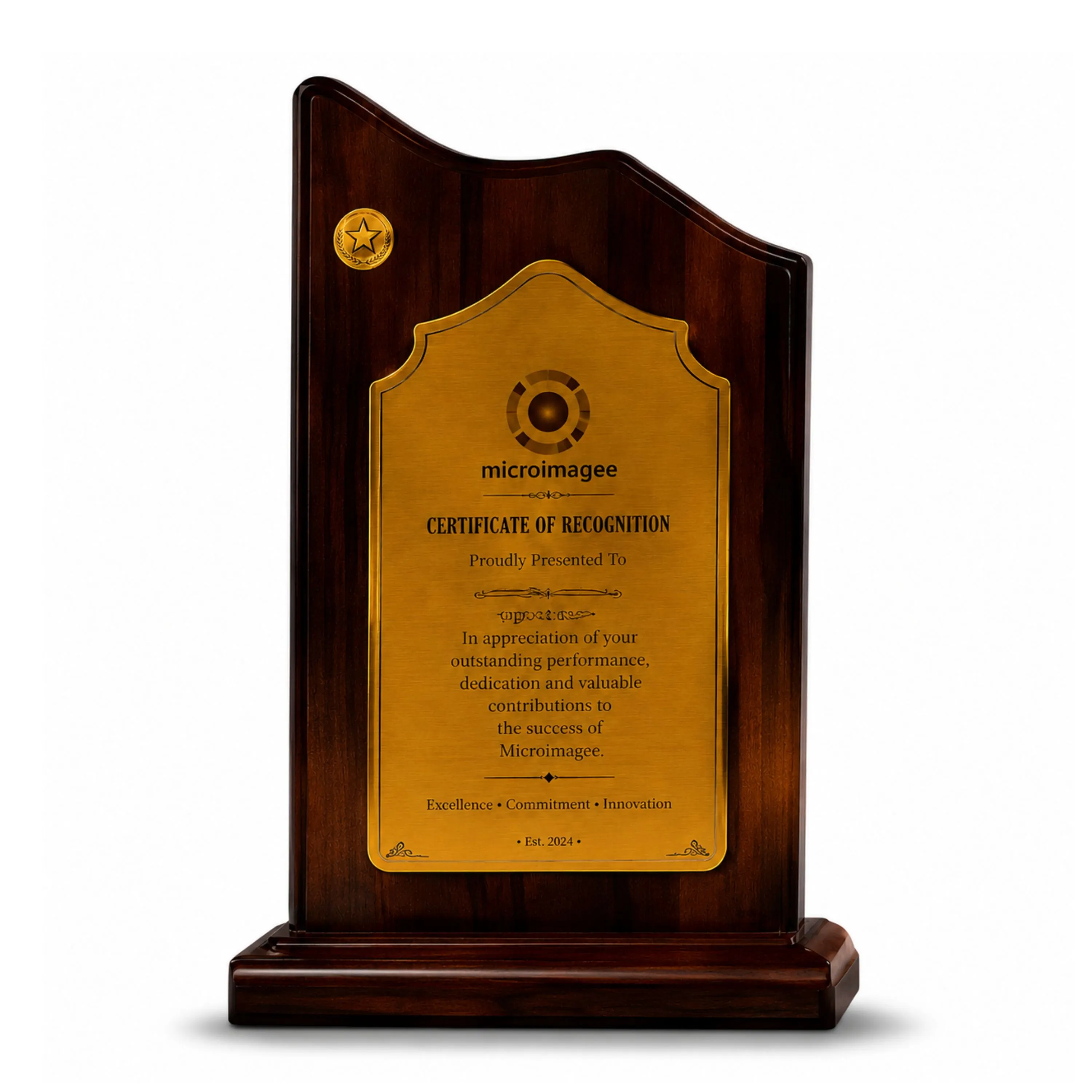 Premium Wooden Acrylic Mementos